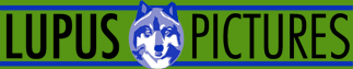 Survey Logo