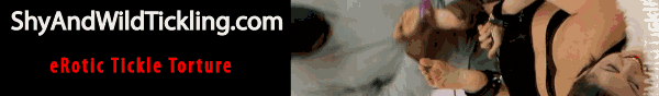Survey Software