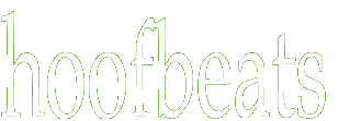 Survey Software