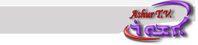Survey Software